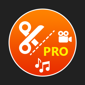 Media Cutter Pro for Windows